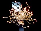 Linee di luce