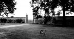 Solitudine