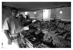 Al mercato del Pesce Al mercato del Pesce