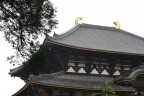 Il tempio Todaiji a Nara