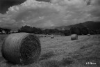 Paesaggio rurale Paesaggio rurale