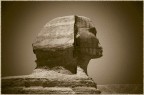 a very old sphinx