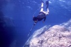 ISOLA D'ELBA 1