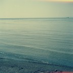 Mare