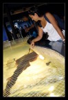 Acquario di Barcellona.....