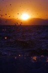 Misterioso Mare