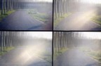 ...scattata presso le rive del P nella bassa reggiana...