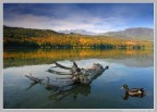 Il Lago di Avigliana, Torino.