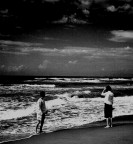 mare