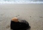Una delle prime foto che ho scattato con la mia DSC-W30, l'inverno scorso sulla spiaggia.
Commenti e critiche sono i benvenuti.