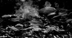 &quot;Smoke&quot; on the water
