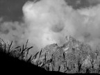 Pale di S.Martino(2)