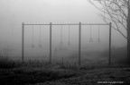 :: Solitudine...