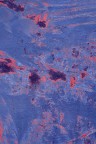 SHOW MW - TEXTURE