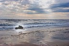 mare