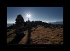 The Stone Men