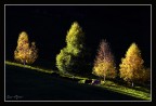 Ultimo raggio d'autunno.
