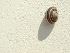 la meridiana