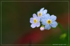:: Colors...