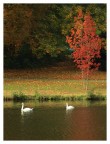Autunno