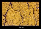 Urban Scars
