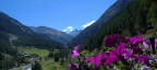PARCO DEL GRAN PARADISO-CRETON