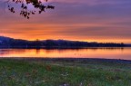 rosso d'autunno