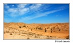Desolazione
