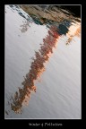 water &amp; Pollution