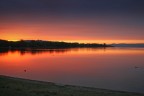 rosso d'autunno II