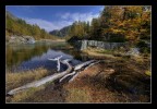 trasparenze d'autunno III