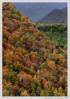 Autunno.