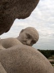 ogni commento e/o critica sono graditi