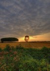 albero di luce