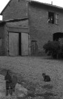 Senza titolo