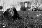 sottopongo questo scatto al vostro insindacabile giudizio...
A me piace tanto, ditemi cosa avrei dovuto fare per migliorarlo...