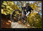 Freeride