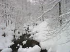 Nevicata