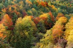 I caldi colori dell'autunno