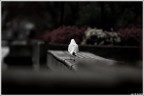 a lonley guy ....
