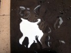 ogni critica e/o commento sono graditi