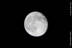 Ieri c'era la luna piena e me la sono persa per il cielo nuvoloso...questa sera ho aspettato che facesse il giro del palazzo e l'ho beccata.Non  perfettamente piena, ma ne sono soddisfatto.
Questa  "La mia Prima Luna..."
...
...
...
ovvero la prima che mi sia uscita abbastanza bene :P 
So che  uno scatto visto e rivisto, ma questo  il mio :D
Suggerimenti e critiche sono sempre ben accetti