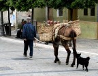 Camminando incontro alla sera.