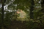 autunno 2007 (parco di monza)