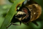 http://www.flickr.com/photos/13017966@N03/
a questo indirizzo sono altre mie foto
