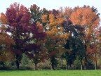 autunno 1