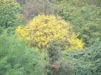 autunno 2