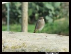 Commentate pure.
-------------------------------------------
S6500 fd