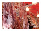 "ballar" spettacolare mercato storico di palermo con la nuova pana fz18