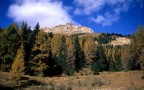 dolomiti colori dell'autunno